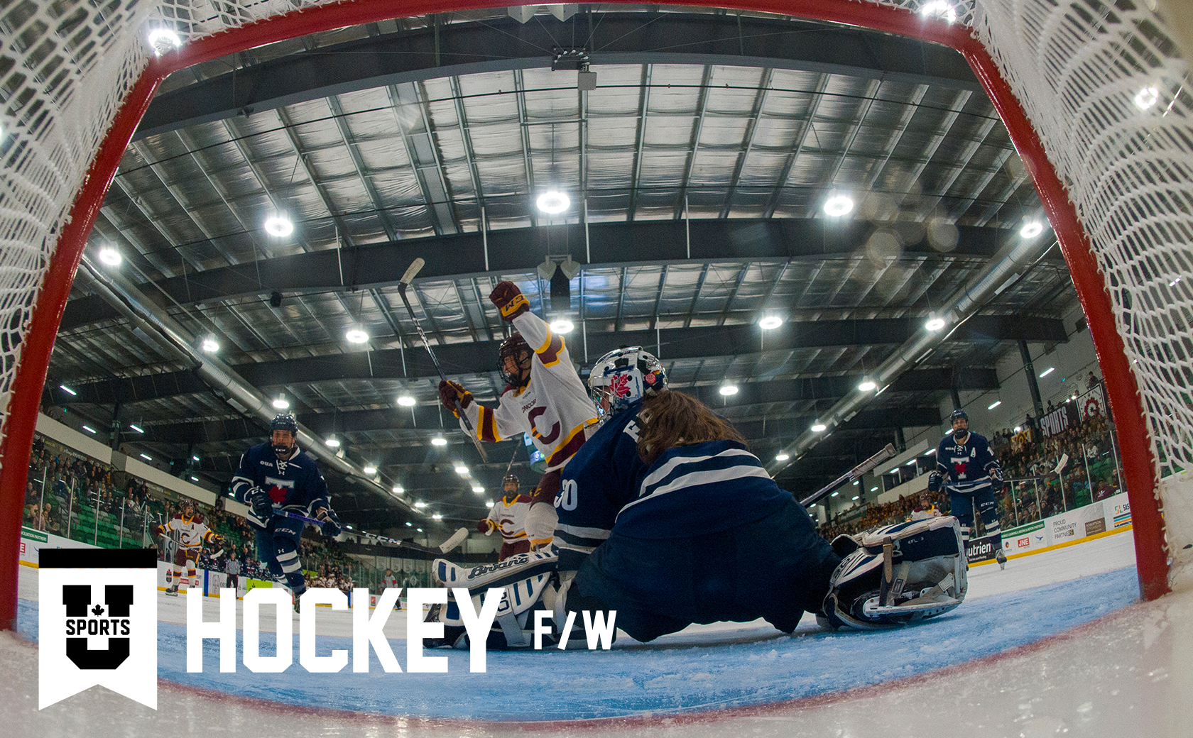 2025 U SPORTS women's hockey championship tickets - click hereImage: Concordia University player celebrates a goal against Toronto during the 2024 championship final. The Toronto goaltender is in the butterfly position looking behind her into the net as the Concordia player raises her two arms in celebration